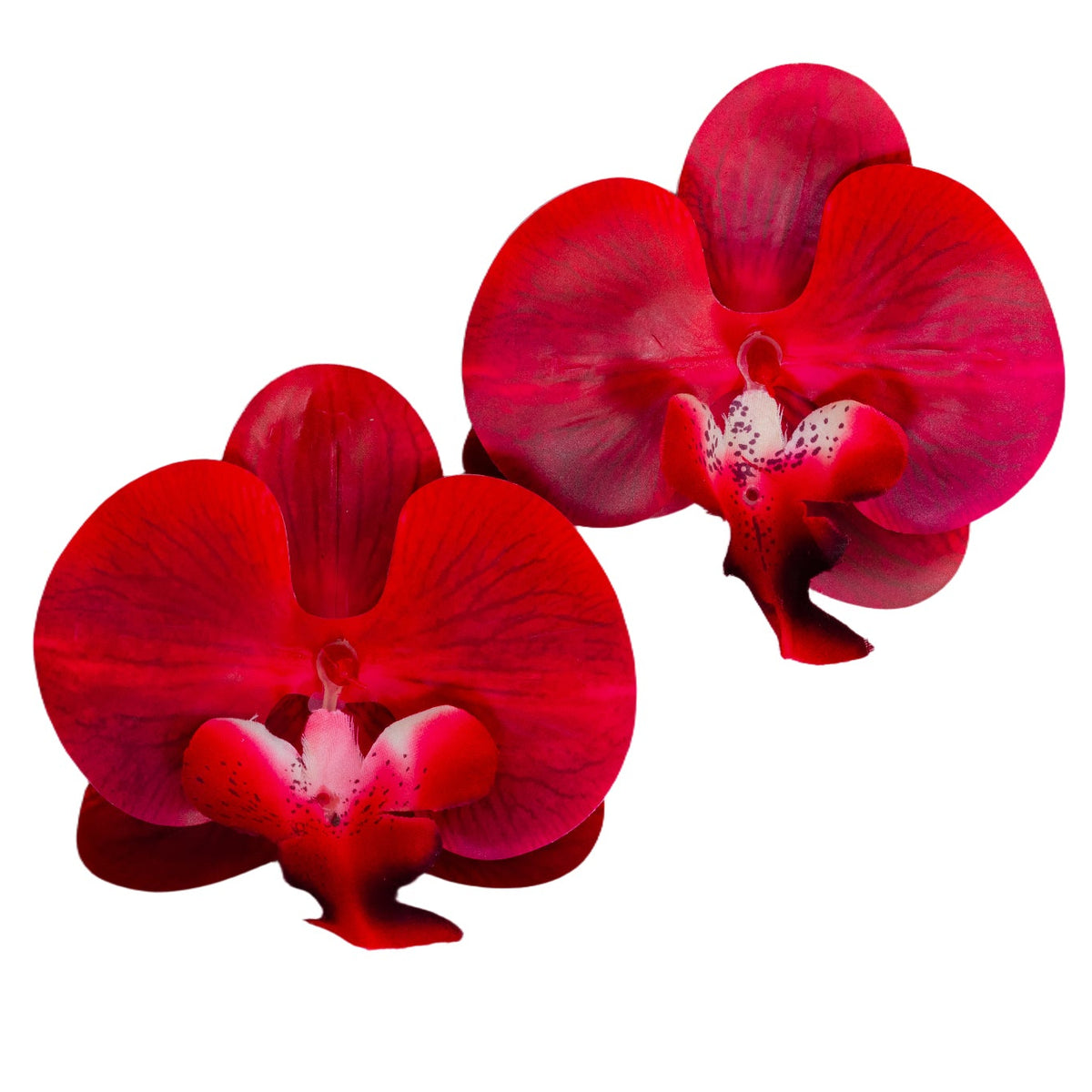 Vivi Orchird Earrings