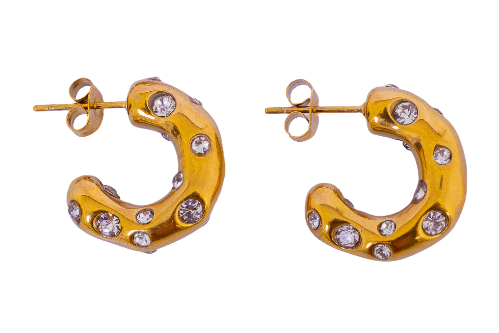 Colette Encrusted Hoop